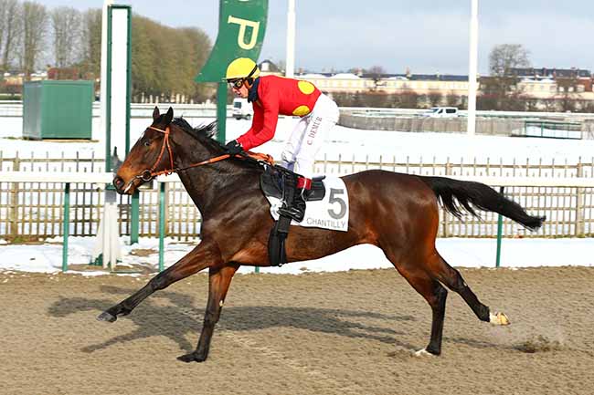 Photo d'arrivée de la course pmu PRIX DU CARREFOUR DES CHARMES à CHANTILLY le Jeudi 31 janvier 2019