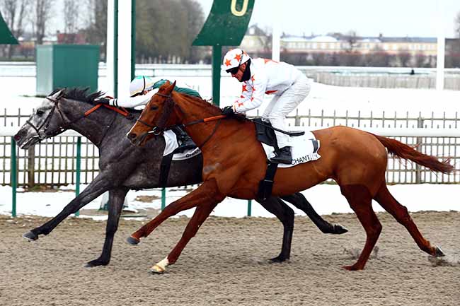 Photo d'arrivée de la course pmu PRIX DU CARREFOUR DES HAUTES COUTUMES à CHANTILLY le Jeudi 31 janvier 2019