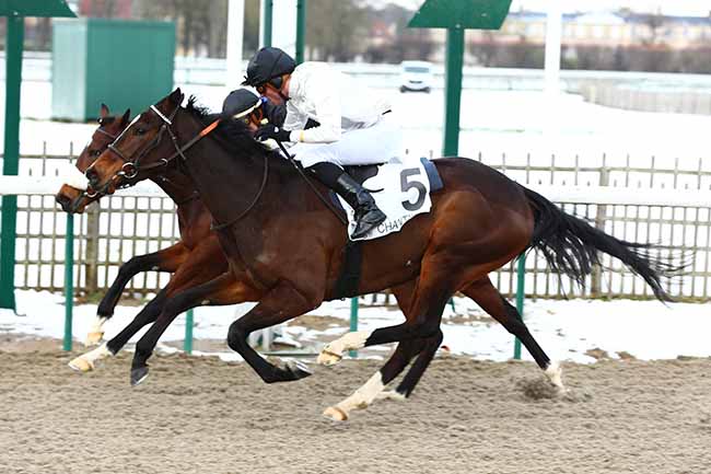 Photo d'arrivée de la course pmu PRIX DU ROND FILLE DE L'AIR à CHANTILLY le Jeudi 31 janvier 2019