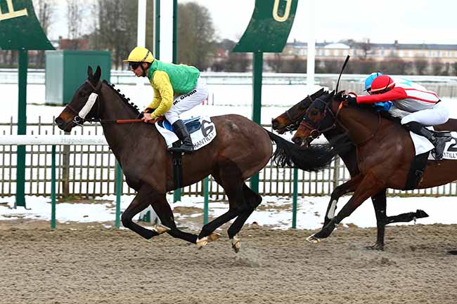 Photo d'arrivée de la course pmu PRIX DE LA MARE MADAME à CHANTILLY le Jeudi 31 janvier 2019