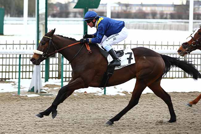Photo d'arrivée de la course pmu PRIX DE LA MARE DES SOTS à CHANTILLY le Jeudi 31 janvier 2019