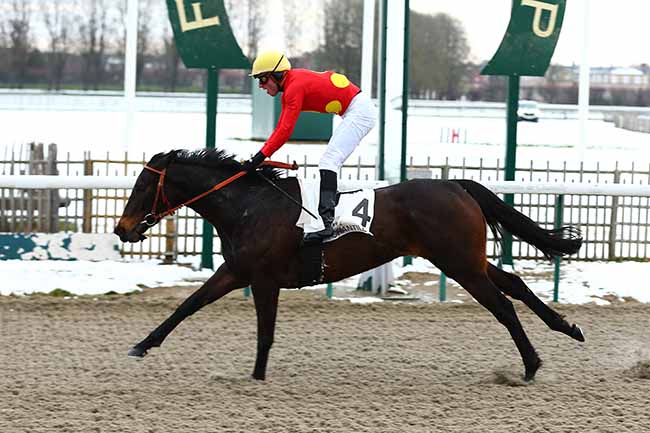 Photo d'arrivée de la course pmu PRIX DE BRUYERES-SUR-OISE à CHANTILLY le Jeudi 31 janvier 2019