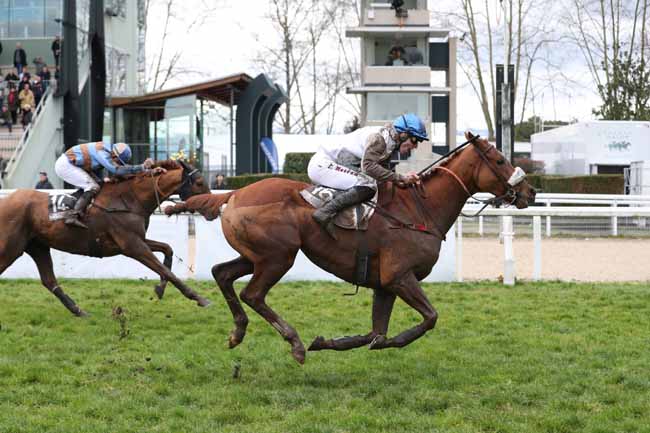 Photo d'arrivée de la course pmu PRIX ANNIE HUTTON à PAU le Vendredi 1 février 2019