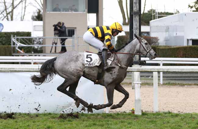Photo d'arrivée de la course pmu PRIX CAMILLE DUBOSCQ à PAU le Vendredi 1 février 2019