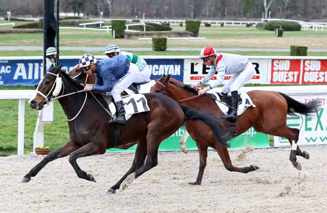 Photo d'arrivée de la course pmu PRIX DE PAU à PAU le Vendredi 1 février 2019
