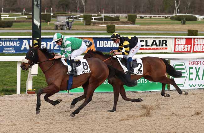 Photo d'arrivée de la course pmu PRIX D'UZEIN à PAU le Vendredi 1 février 2019