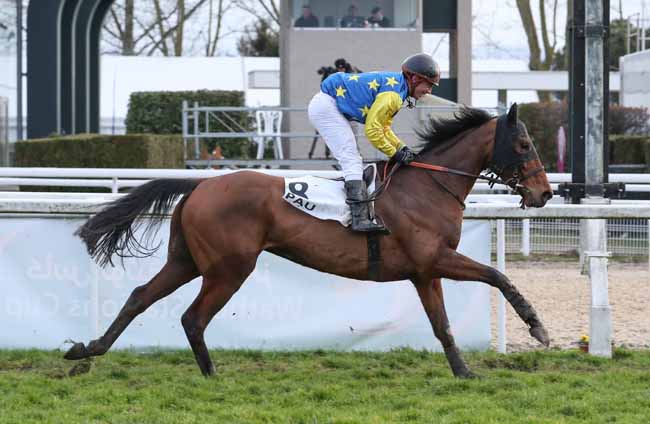Photo d'arrivée de la course pmu PRIX DE LA CROIX DU PRINCE à PAU le Vendredi 1 février 2019