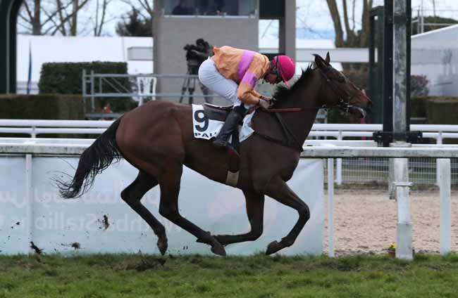 Photo d'arrivée de la course pmu PRIX CHARLES DE VANSSAY à PAU le Vendredi 1 février 2019