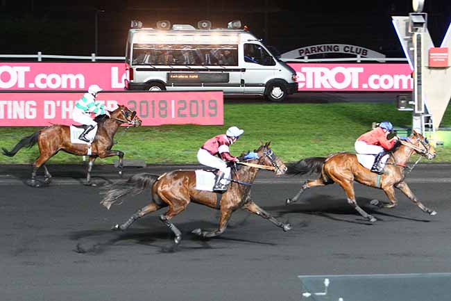 Photo d'arrivée de la course pmu PRIX DE PAIMBOEUF à PARIS-VINCENNES le Samedi 2 février 2019
