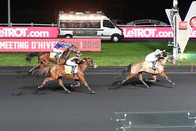 Photo d'arrivée de la course pmu PRIX DE DAUMESNIL à PARIS-VINCENNES le Samedi 2 février 2019
