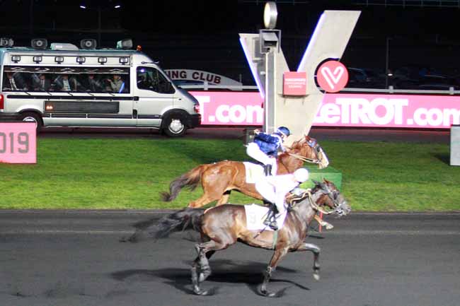 Photo d'arrivée de la course pmu PRIX DE CHALONS-EN-CHAMPAGNE à PARIS-VINCENNES le Dimanche 3 février 2019