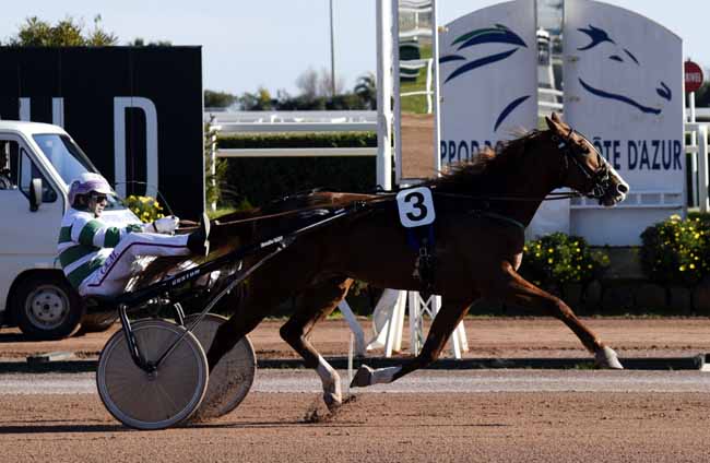 Photo d'arrivée de la course pmu PRIX PIERRE LAROQUE à CAGNES-SUR-MER le Mardi 5 février 2019