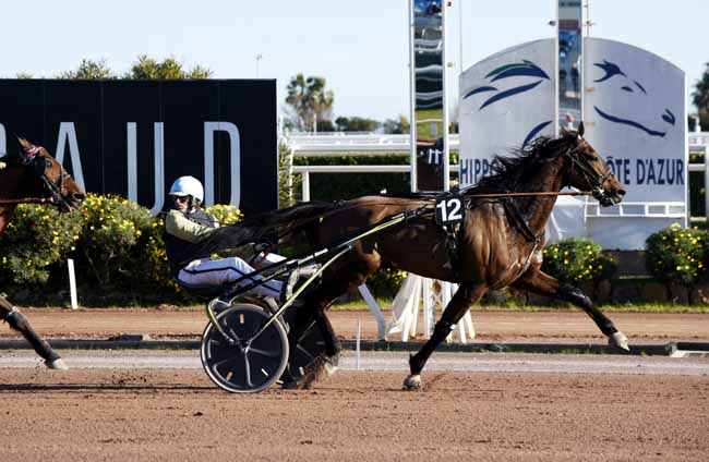 Photo d'arrivée de la course pmu PRIX DES BOUTONS D'OR à CAGNES-SUR-MER le Mardi 5 février 2019