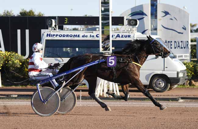 Photo d'arrivée de la course pmu PRIX DE LA BRUYERE à CAGNES-SUR-MER le Mardi 5 février 2019
