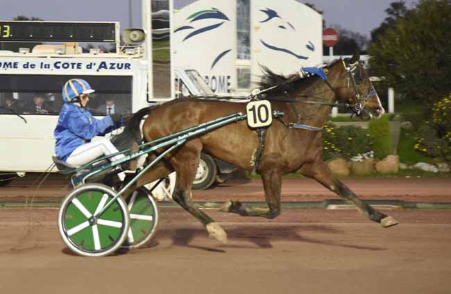Photo d'arrivée de la course pmu PRIX DES LYS MARTAGON à CAGNES-SUR-MER le Mardi 5 février 2019