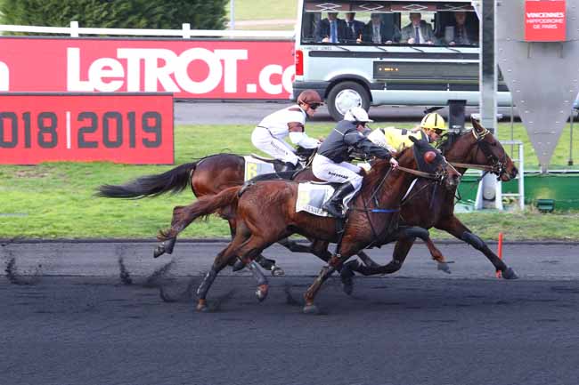 Photo d'arrivée de la course pmu PRIX DE LUNEVILLE à PARIS-VINCENNES le Jeudi 7 février 2019