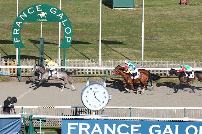 Photo d'arrivée de la course pmu PRIX DU CASTEL à CHANTILLY le Jeudi 7 février 2019