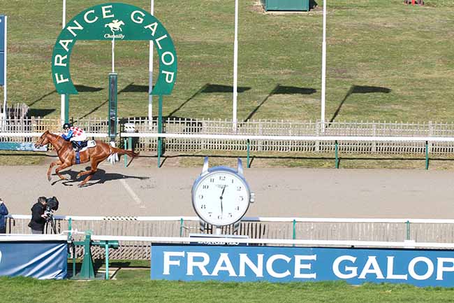 Photo d'arrivée de la course pmu PRIX DE LA ROUTE DES PRINCES à CHANTILLY le Jeudi 7 février 2019