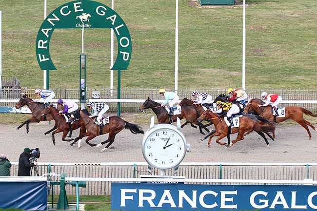 Photo d'arrivée de la course pmu PRIX DES TROIS CLAIRIERES à CHANTILLY le Jeudi 7 février 2019