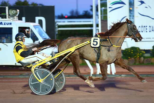 Photo d'arrivée de la course pmu PRIX DES GORGES DU VERDON à CAGNES-SUR-MER le Vendredi 8 février 2019