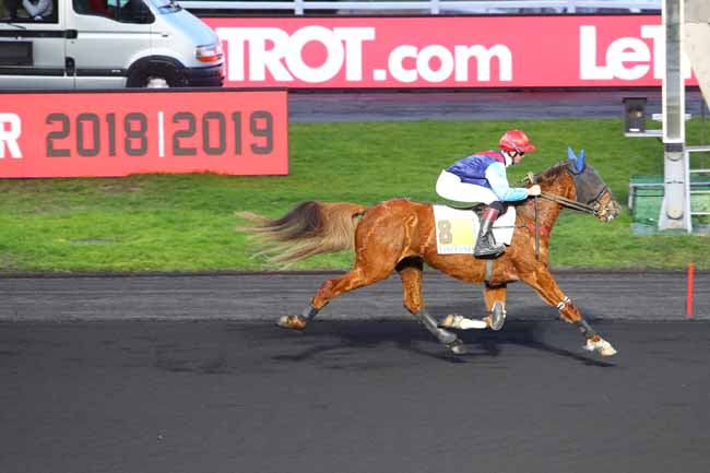 Photo d'arrivée de la course pmu PRIX DE BOUGUENAIS à PARIS-VINCENNES le Lundi 11 février 2019