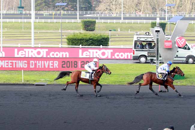 Photo d'arrivée de la course pmu PRIX D'ECOUCHE à PARIS-VINCENNES le Mardi 12 février 2019