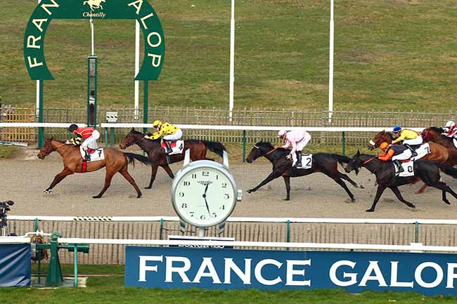 Photo d'arrivée de la course pmu PRIX DU CARREFOUR LAVERSIN à CHANTILLY le Mardi 12 février 2019