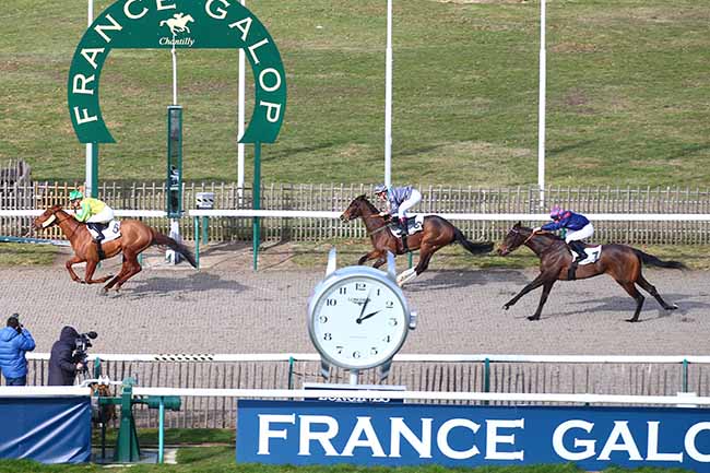Photo d'arrivée de la course pmu PRIX DU CARREFOUR PAPILLON à CHANTILLY le Mardi 12 février 2019