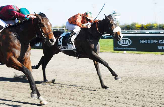 Photo d'arrivée de la course pmu PRIX DU VAUCLUSE à CAGNES-SUR-MER le Mercredi 13 février 2019