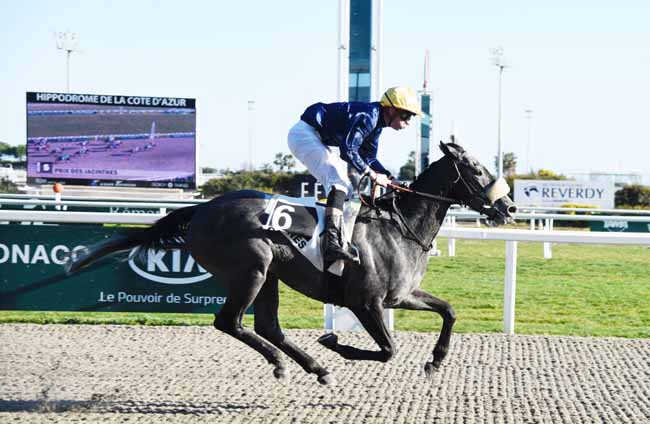 Photo d'arrivée de la course pmu PRIX DES JACINTHES à CAGNES-SUR-MER le Mercredi 13 février 2019