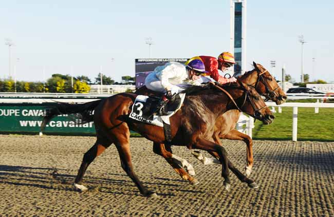 Photo d'arrivée de la course pmu PRIX WERNER BALTROMEI à CAGNES-SUR-MER le Mercredi 13 février 2019