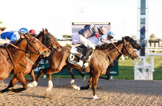 Photo d'arrivée de la course pmu PRIX DES BOUCHES-DU-RHONE à CAGNES-SUR-MER le Mercredi 13 février 2019