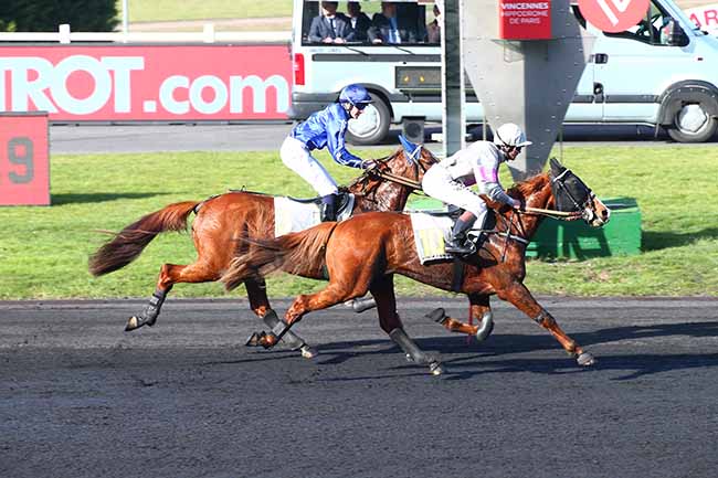 Photo d'arrivée de la course pmu PRIX EDOUARD MARCILLAC à PARIS-VINCENNES le Jeudi 14 février 2019