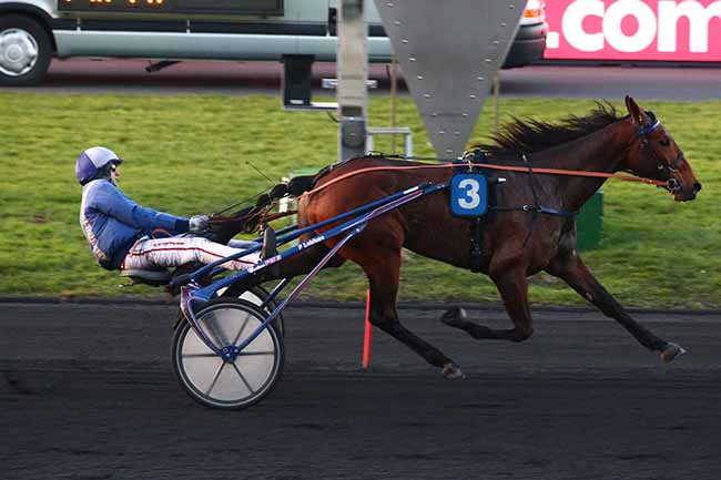 Photo d'arrivée de la course pmu PRIX DE BOIS-LE-ROI à PARIS-VINCENNES le Jeudi 14 février 2019