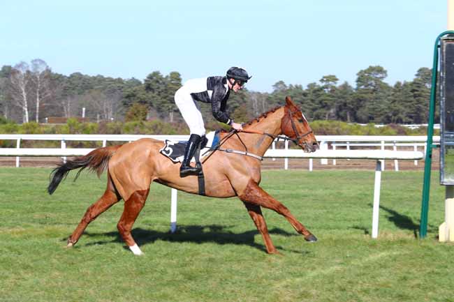 Photo d'arrivée de la course pmu PRIX ROTARY CLUB DE FONTAINEBLEAU à FONTAINEBLEAU le Jeudi 14 février 2019
