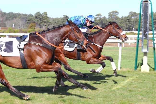 Photo d'arrivée de la course pmu PRIX LOPES COUVERTURE à FONTAINEBLEAU le Jeudi 14 février 2019