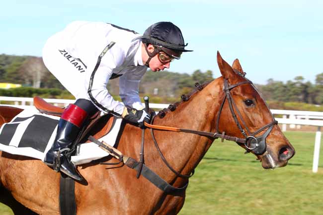Photo d'arrivée de la course pmu PRIX DE LA SOCIETE DES COURSES DE PAU à FONTAINEBLEAU le Jeudi 14 février 2019