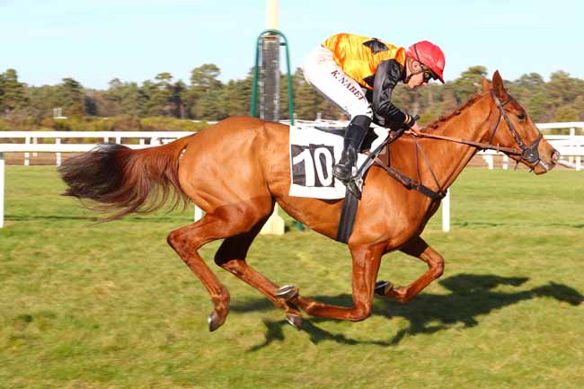 Photo d'arrivée de la course pmu PRIX CHAMPAGNE ROBERT GRUMIER à FONTAINEBLEAU le Jeudi 14 février 2019