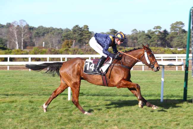 Photo d'arrivée de la course pmu PRIX DE L'IMPERATRICE EUGENIE à FONTAINEBLEAU le Jeudi 14 février 2019