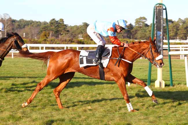 Photo d'arrivée de la course pmu PRIX DU CONSEIL MUNICIPAL DE CHAILLY-EN-BIERE à FONTAINEBLEAU le Jeudi 14 février 2019
