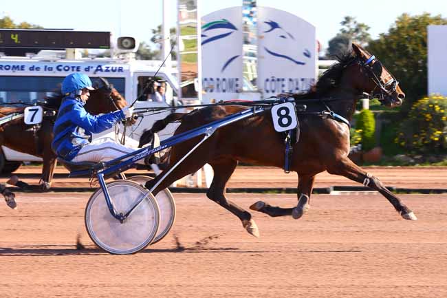 Photo d'arrivée de la course pmu PRIX DE MADRID à CAGNES-SUR-MER le Vendredi 15 février 2019