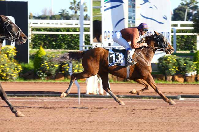 Photo d'arrivée de la course pmu PRIX SCARLET TURGOT à CAGNES-SUR-MER le Vendredi 15 février 2019