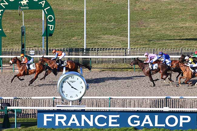 Photo d'arrivée de la course pmu PRIX DE JAGNY-SOUS-BOIS à CHANTILLY le Vendredi 15 février 2019