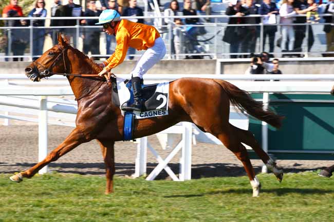 Photo d'arrivée de la course pmu PRIX DE PORQUEROLLES à CAGNES-SUR-MER le Samedi 16 février 2019