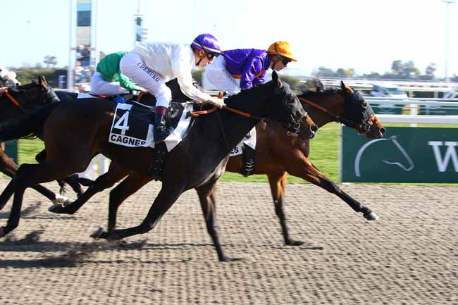 Photo d'arrivée de la course pmu PRIX DES MIMOSAS à CAGNES-SUR-MER le Samedi 16 février 2019