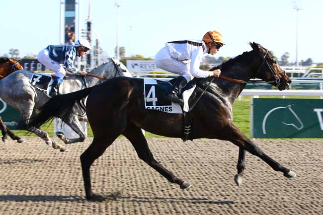 Photo d'arrivée de la course pmu PRIX SAONOIS à CAGNES-SUR-MER le Samedi 16 février 2019