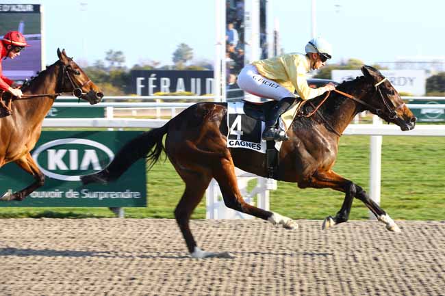 Photo d'arrivée de la course pmu PRIX DE L'ESTEREL à CAGNES-SUR-MER le Samedi 16 février 2019