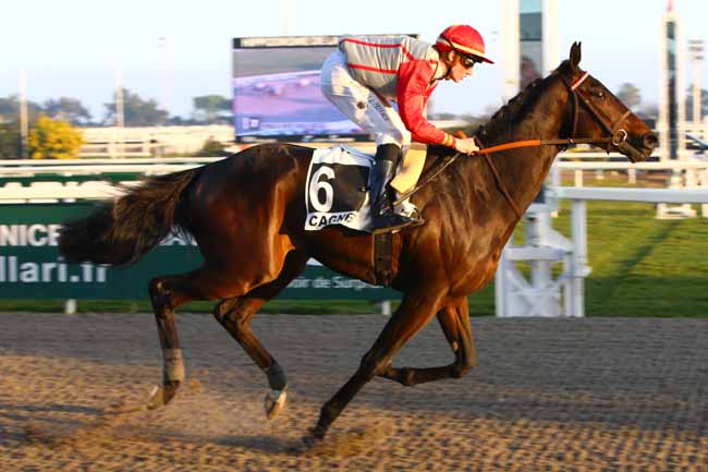 Photo d'arrivée de la course pmu PRIX DES MAURES à CAGNES-SUR-MER le Samedi 16 février 2019