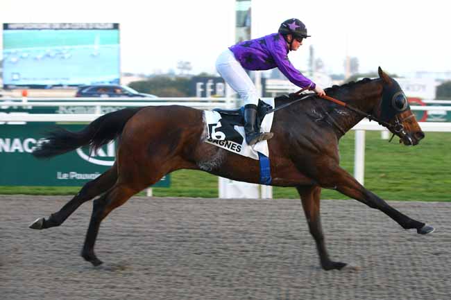 Photo d'arrivée de la course pmu PRIX DE JUAN-LES-PINS à CAGNES-SUR-MER le Samedi 16 février 2019