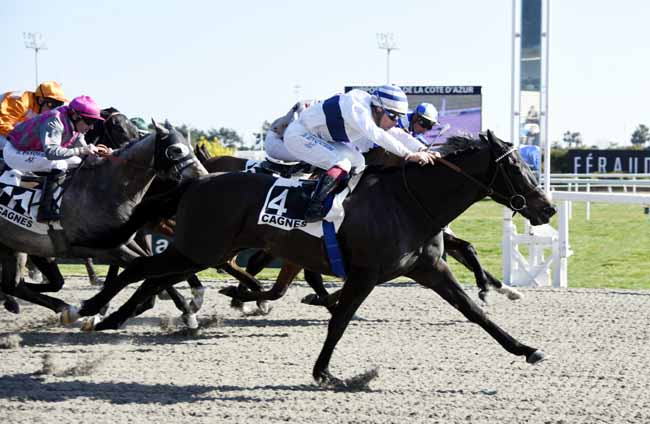 Photo d'arrivée de la course pmu PRIX DE SAINTE-MAXIME à CAGNES-SUR-MER le Mercredi 20 février 2019